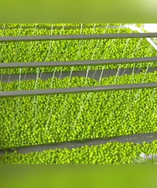 标准化流程，确保交通设施安装质量提升30%：交通行业安全标准化